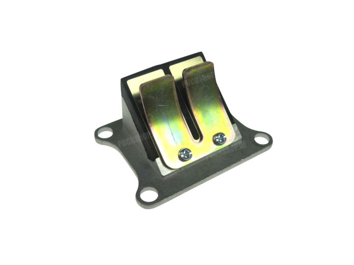 Reed valve Athena AJH / DMP reed valve cylinder