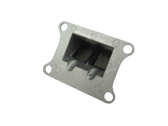 Reed valve Athena AJH / DMP reed valve cylinder