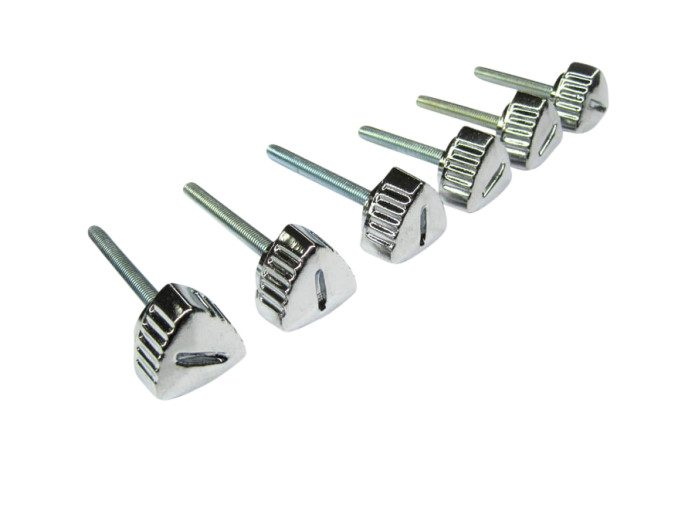 Side cover bolt chrome Puch Maxi S (set of 6-pieces)