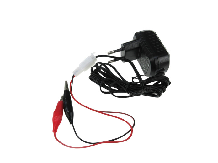 Charger 12 volt 0.5A universal 