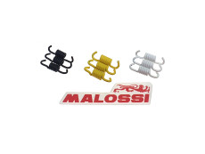 Koppelingsveren set Malossi voor scooters (Honda / Peugeot / Piaggio etc.)