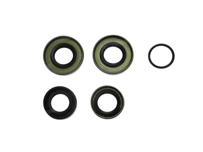 Seal Puch Monza / X50 / Jet 4 speed set 