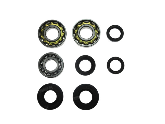 Lager und Simmerring Satz Puch MV / VS / DS / VZ / X30 / 2 Gang Handschaltung