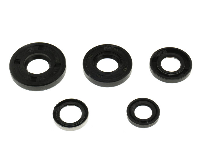 Seal Sachs 506 NTS set 