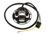 Ontsteking HPI 210 (2-Ten) met licht 12V 40 watt Sachs 504/1 / 504/2 / 505/2 / 506/3B motor