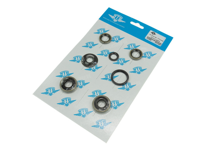 Keerring set Sachs 50/A, 50/2 NTS 2 versnelling motor