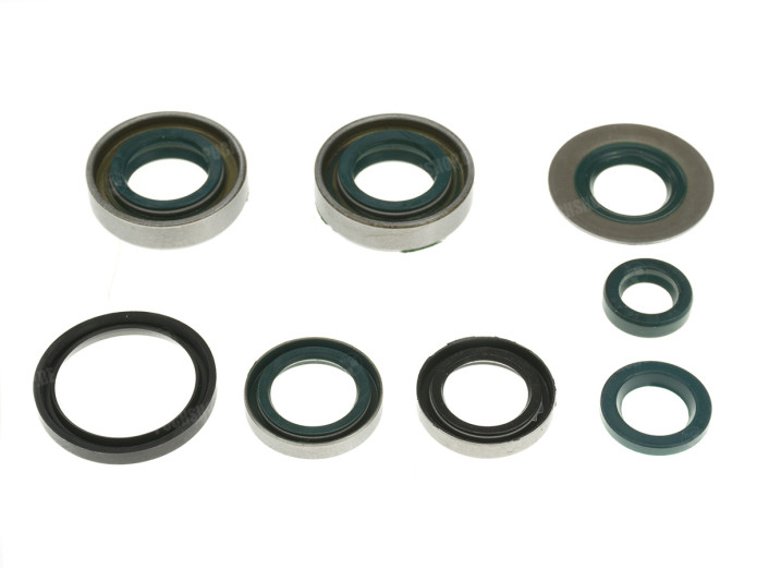 Seal set Sachs NTS 3 4 speed