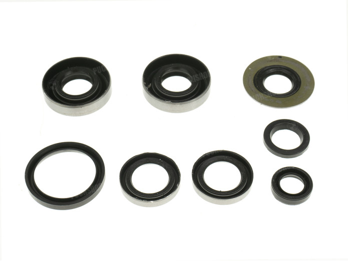 Seal set Sachs 50/3 and 50/4 NTS 3 speed 