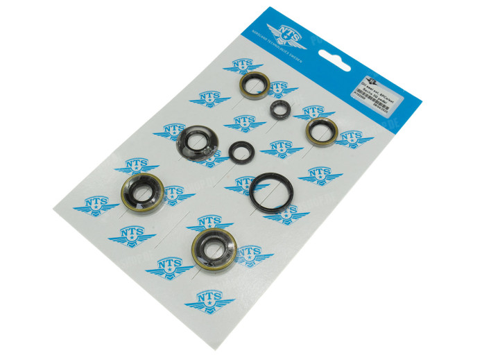Seal set Sachs 50/3 and 50/4 NTS 3 speed 