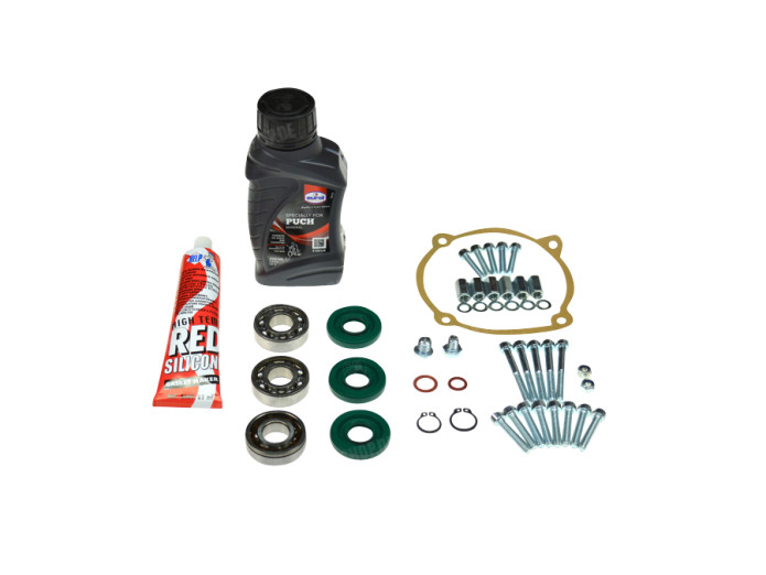 Bearing rebuild Puch Maxi / E50 new model 3-bearing pedal-start overhaul kit 