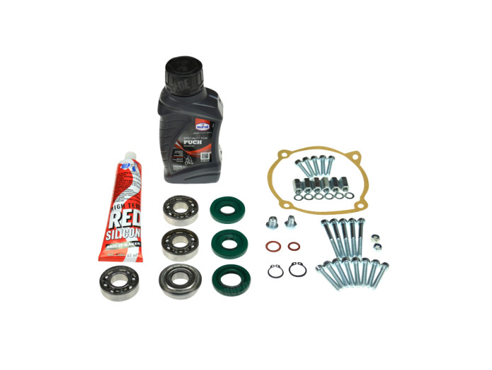 Bearing rebuild Puch Maxi / E50 old model 4-bearing pedal-start overhaul kit 