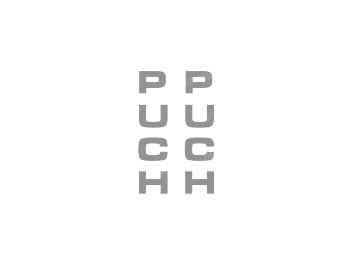 Sticker Puch front fork universal silver