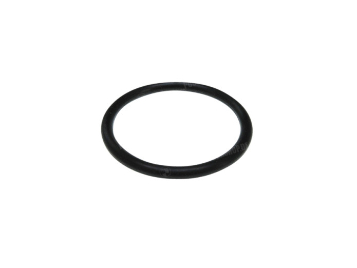 Gabelplatte O-Ringe
