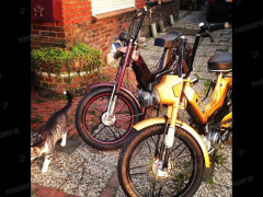 Puch Bernd  ter Hoeve