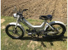 Maxi S starr