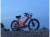 Orange Beast