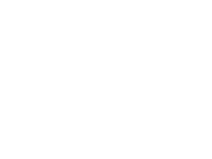 Woon-werkverkeer 