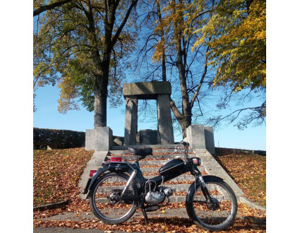 Mv 50