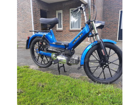 's Puch Maxi mk2 autoshift