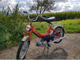 's Puch Maxi N (25]