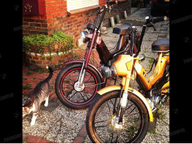 's Puch Maxi 