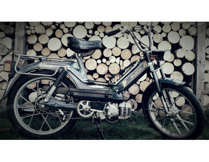 Maxal