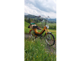 's Puch Maxi S