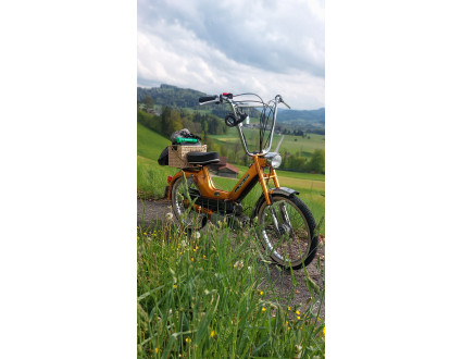 Puch z50maxi