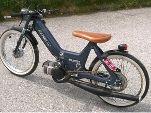 Maxi N Ostösterreich grau