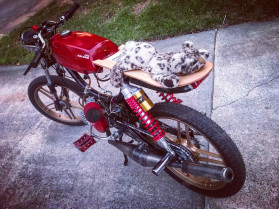 's Puch Series B  / Murray