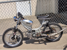 's JcPenney Pinto2