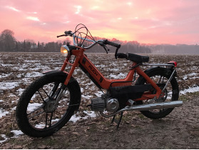 's Puch  Maxi N