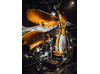 ★ PUCH DS50V/II ★