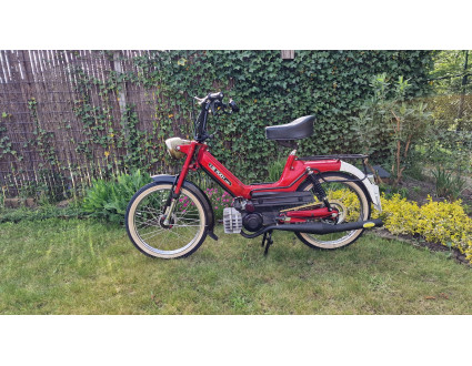 tourpuch original look