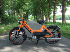 Puch Niklas Lübben
