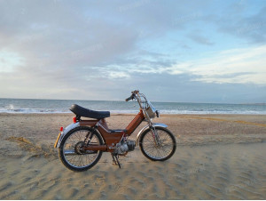 Puch maxi