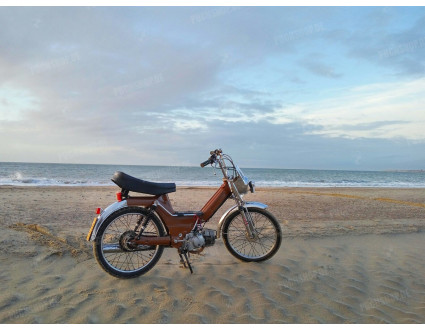 Puch maxi