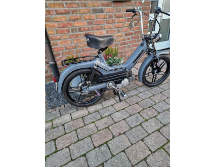 Maxi S Eisengrau 