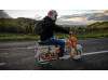★ PUCH DS50V/II ★