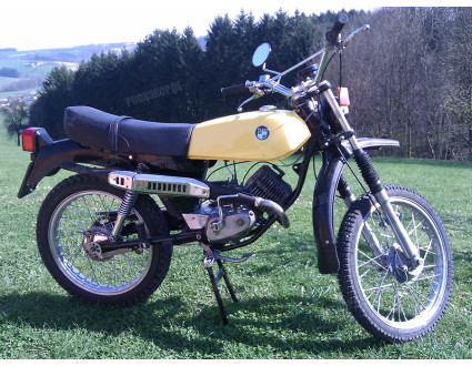 Empfinger Puch