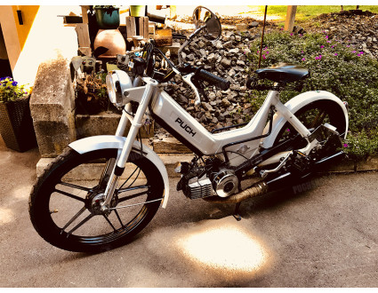 Maxi S starr