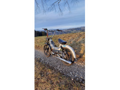 Puch Janis Fankhauser