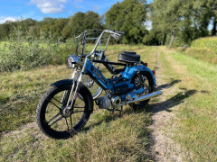 Puch Wout Everink