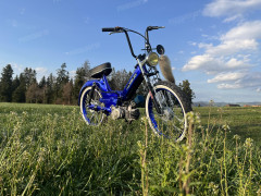Puch Dominik Schüpbach