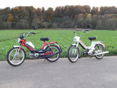 Puch Eric  Vogel 