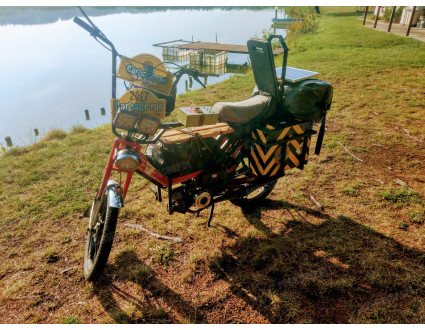carbagerunner service puch