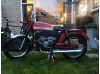 Puch M50 Racing