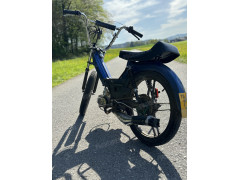 Puch Dennis Scherrer