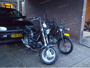 cruise tomos