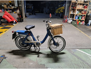 P50 